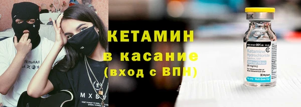 стаф Аркадак