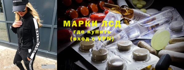 стаф Аркадак