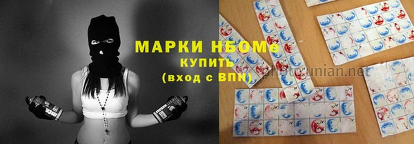 стаф Аркадак